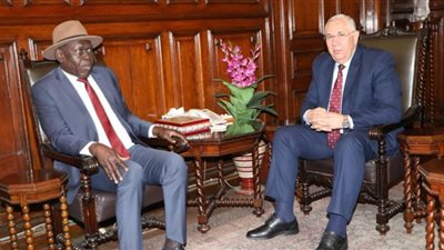 وزير الزراعة يبحث مع نظيره التشادي سبل التعاون الثنائي