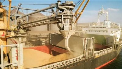 تراجع صادرات أوكرانيا من الحبوب 28.7%