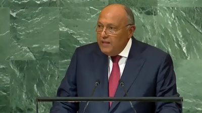 شكري: يجب تفعيل الدبلوماسية متعددة الأطراف لحل الأزمات الدولية