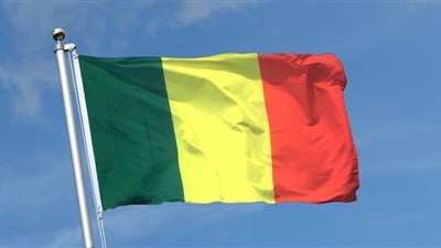 سفير مالي بالقاهرة : أسبوع المصالحة الوطنية حقق نجاح كبيرة