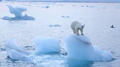 ذوبان جليد القطب الشمالي بالكامل.. عالم يكشف مفاجأة