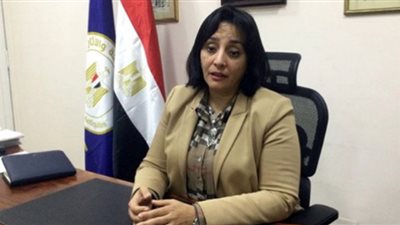 قرار جديد للتأشيرات السياحية للقادمين إلى مصر (فيديو)