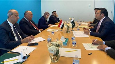 شكرى يبحث سبل تعزيز العلاقات الثنائية مع باكستان