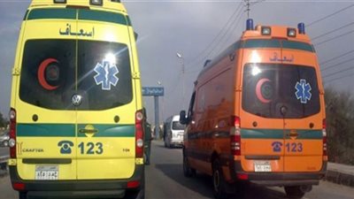 تصادم سيارتين يودى بحياة شخصين وإصابة 5 آخرين بطريق أسوان أبو سمبل