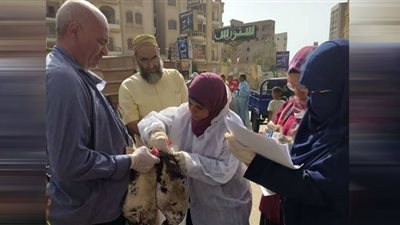 لجان بيطرية لتقصي مرض أنفلونزا الطيور بقرى الفيوم