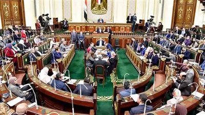 وكيل دفاع النواب: وزارة الشباب حققت استراتيجية القيادة السياسية