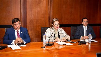 غادة عجمي تؤكد حكومة ونوابا نعمل لصالح الوطن