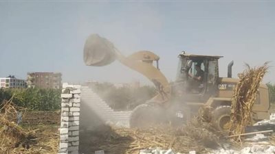 إزالة 328 حالة تعدٍ ببني سويف ضمن الموجة الـ 20 لإزالة التعديات