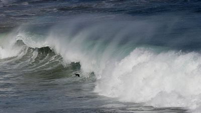 ارتفاع منسوب مياه المحيطات يُنذر بنزوح جماعي