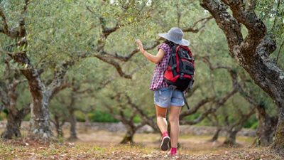 هل المشي إلى الوراء جيد؟