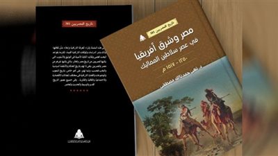 «مصر وشرق أفريقيا» يرصد خريطة إمارات الطراز الإسلامي في شرقي إفريقيا