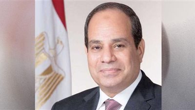 السيسي يوجه بعلاج مواطن مصاب بكسور في الظهر.. فيديو