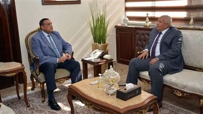 وزير التنمية المحلية يتابع مع محافظ الوادي الجديد مشروعات 