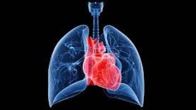 أول مرة في مصر.. كيف تتم عملية زراعة الرئة