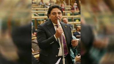 النائب أيمن محسب يطالب بدعم قطاع البناء والتشييد في مواجهة التغيرات الاقتصادية