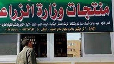 70جنيهاً للكيلو... أسعار اللحوم بمنافذ وزارة الزراعة