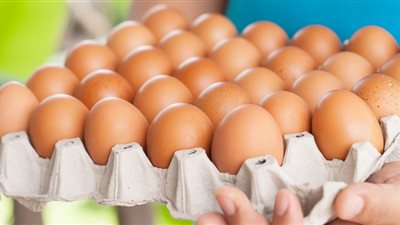أسعار البيض اليوم الأحد بالمزرعة