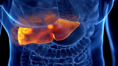 الصيام المتقطع مفيد لمرضى الكبد الدهني غير الكحولي.. دراسة تكشف مفاجئة