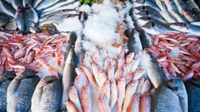 تعرف على أسعار الأسماك في أسواق المنيا