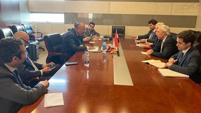 وزير الخارجية يشيد بمواقف البرتغال الداعمة لمصر فى المحافل الدولية
