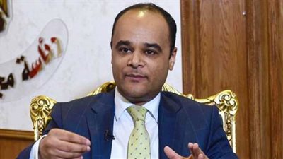 مجلس الوزراء يحدد مشروعات الرخصة الذهبية (شاهد)