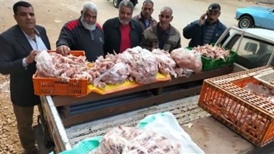 حملات مفاجئة على محال الطيور وبقالي التموين بالشرقية