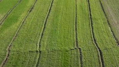 انشقاق الحقول الزراعية بسبب زلزال تركيا المدمر (فيديو)