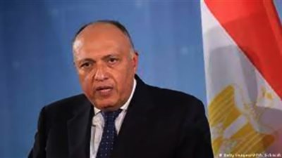 وزير الخارجية يبحث مع نظيره الزامبي فرص الاستثمار