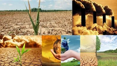 معهد بروكينجز يكشف دور مصر القيادي في قضية المناخ