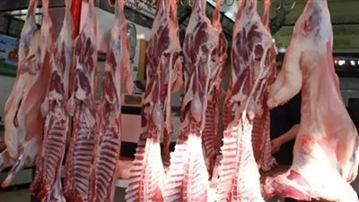 نقيب الجزارين يصرخ من أسعار اللحوم 