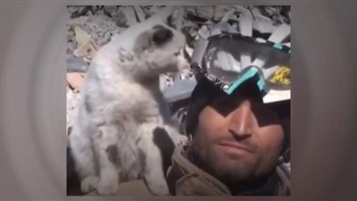 قطة ترفض الابتعاد عن منقذها (شاهد)