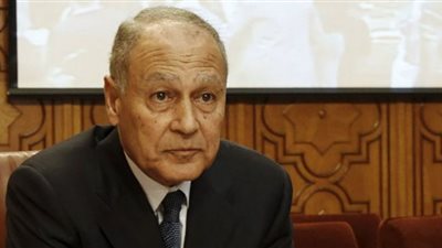 أبو الغيط يؤكد أهمية الارتقاء بمستوى علاقات التعاون العربي والإفريقي