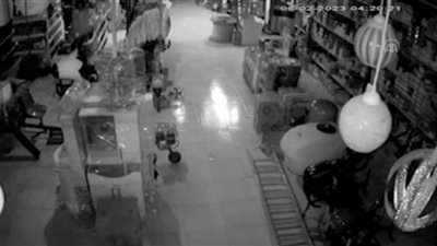 لقطات جديدة للحظة وقوع زلزال تركيا.. رعب وذعر البشر والحيوانات (شاهد)