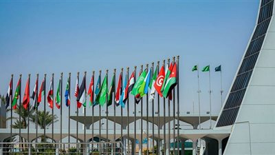 137 ألف زيارة يومية من مستخدمي الإنترنت في الدول العربية لمواقع الاحتيال المالي