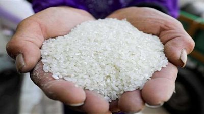 مد المهلة لحائزي الأرز من المزارعين والتجار لإخطار المديريات بما لديهم من كميات