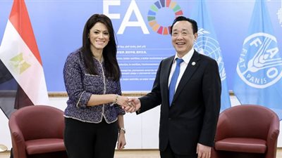 المشاط تناقش برامج التعاون الإقليمي مع برنامج الأغذية العالمي