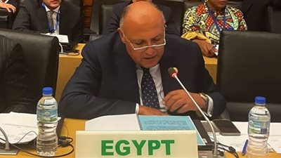 وزير الخارجية يستعرض نتائج COP27 أمام لجنة رؤساء الدول والحكومات الأفارقة