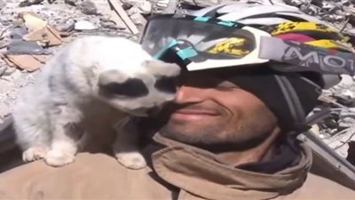 زلزال تركيا وسوريا.. قطة تشكر منقذها من أسفل الركام (صور)