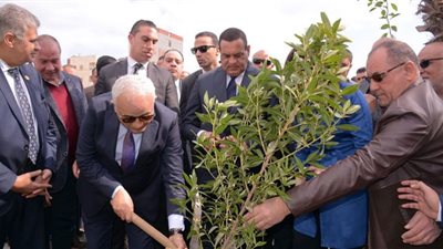 آمنة: المبادرة الرئاسية لزراعة 100 مليون شجرة سيتم تنفيذها على مدار 7 سنوات