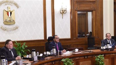 مدبولى يتابع تطبيق منظومة الشحن المُسبق والإفراج عن البضائع