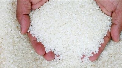 هل سينخفض سعر الأرز.. رئيس الشعبة يوضح الحقيقة