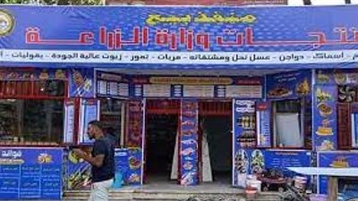 أسعار اللحوم بمنافذ الزراعة والأسواق المحلية.. أيهما أفضل؟