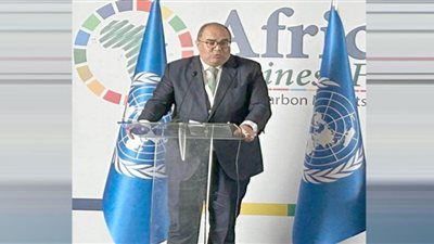 محيي الدين يؤكد وقوع إفريقيا ضحية الفصل بين العمل المناخي والتنموي