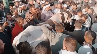 بيع عجل بـ 100 ألف جنيه وأسعار اللحوم تركب الصاروخ