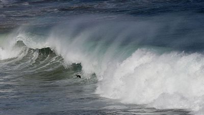 تحذيرات من كارثة تضرب الشواطئ بعد الزلزال