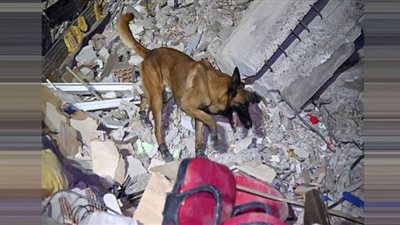 نباح الكلاب وهروب السكان.. اللحظات الأولى لزلزال سوريا