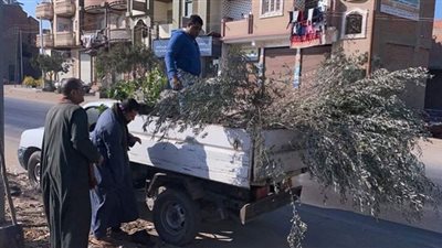 غرس الأشجار المثمرة ضمن مبادرة 