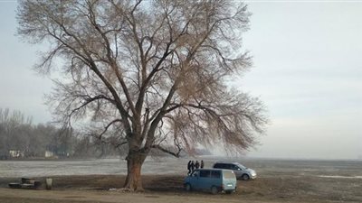 قائمة جوائز مسابقة الفيلم الوثائقي الدولي بمهرجان الإسكندرية للفيلم القصير