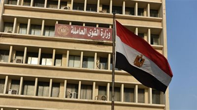 القوى العاملة تعلن عن تدريب في مجال تصنيع الأسماك بأحدث أنواع التكنولوجيا