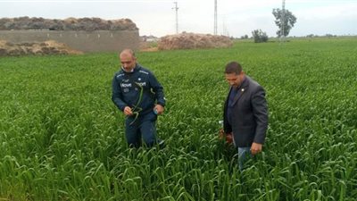 قوافل التنموية الشاملة بجامعة قناة السويس تجوب القرى